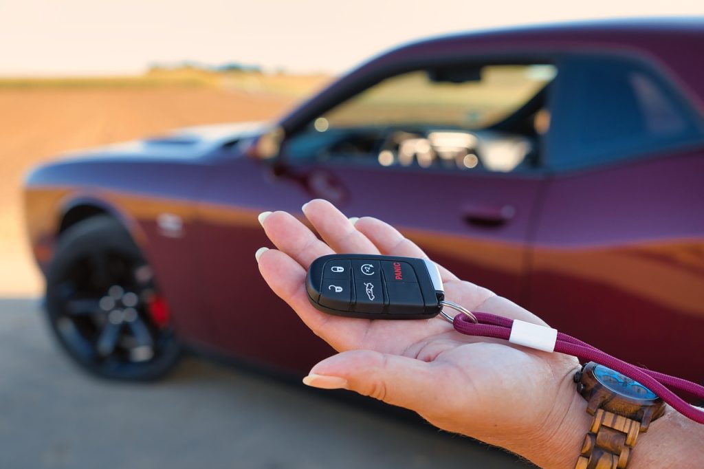 EV Mobile Mechanic Woolshed