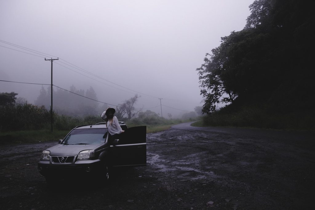 EV Mobile Mechanic Coburg